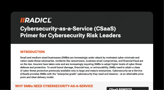 CSaaS Primer CV