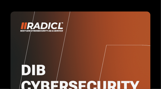 1_DIB Cybersecurity Maturity Report 2025 CV_v2