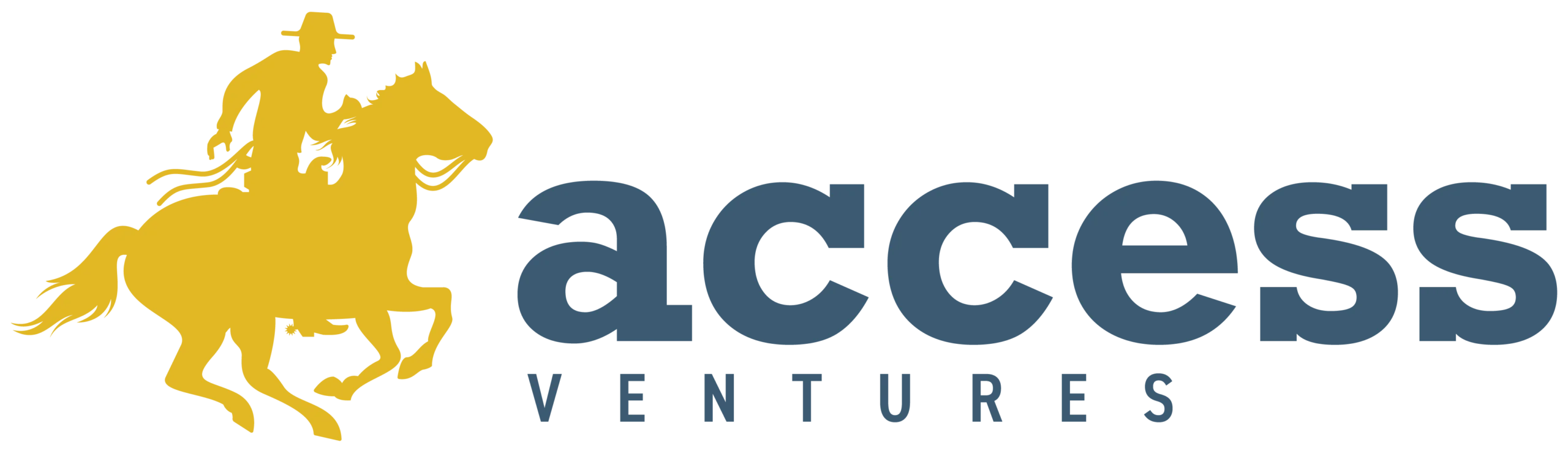 Access-Ventures-Logo-horse