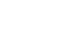 Barn Owl Tech_White