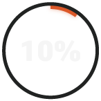 RADICL_10%_Report