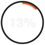 RADICL_13%_Report