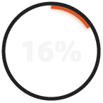 RADICL_16%_Report