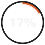 RADICL_17%_Report