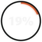 RADICL_19%_Report