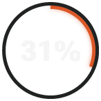 RADICL_31%_Report