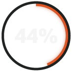 RADICL_44%_Report
