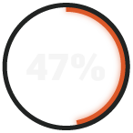 RADICL_47%_Report