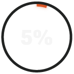 RADICL_5%_Report
