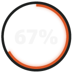 RADICL_67%_Report