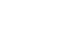 Havoc AI