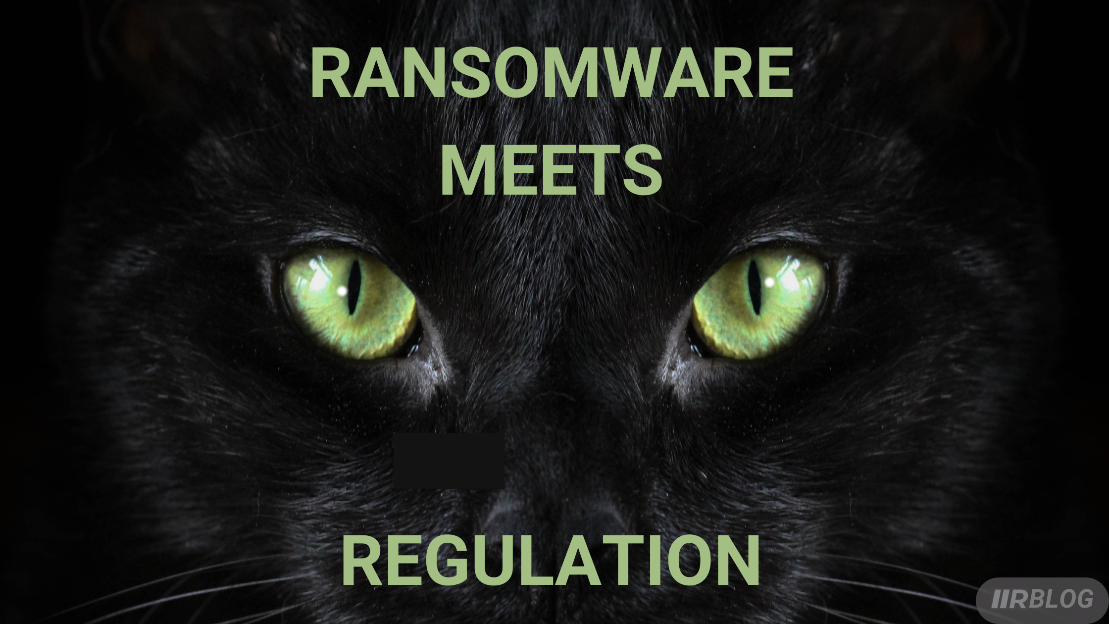 RANSOMWARE MEETS